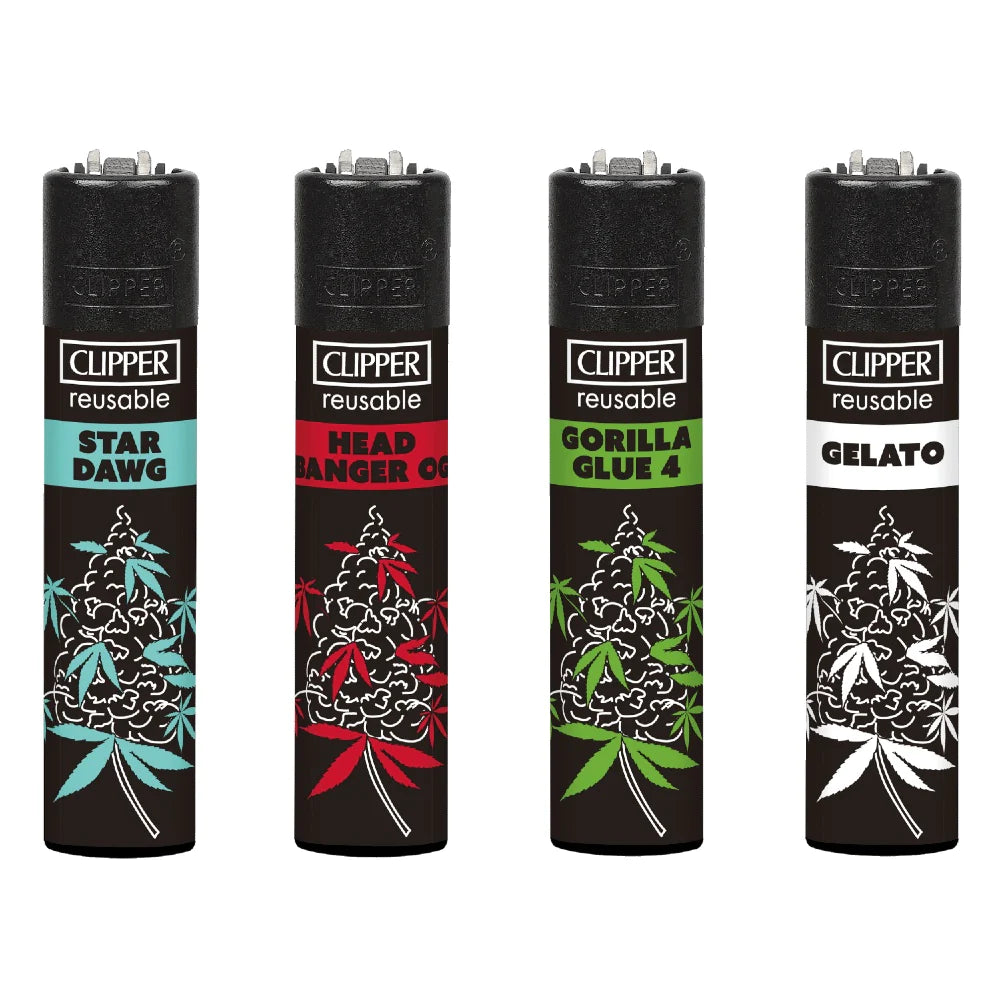 Clipper Classic 4-pack (Top Leaves)