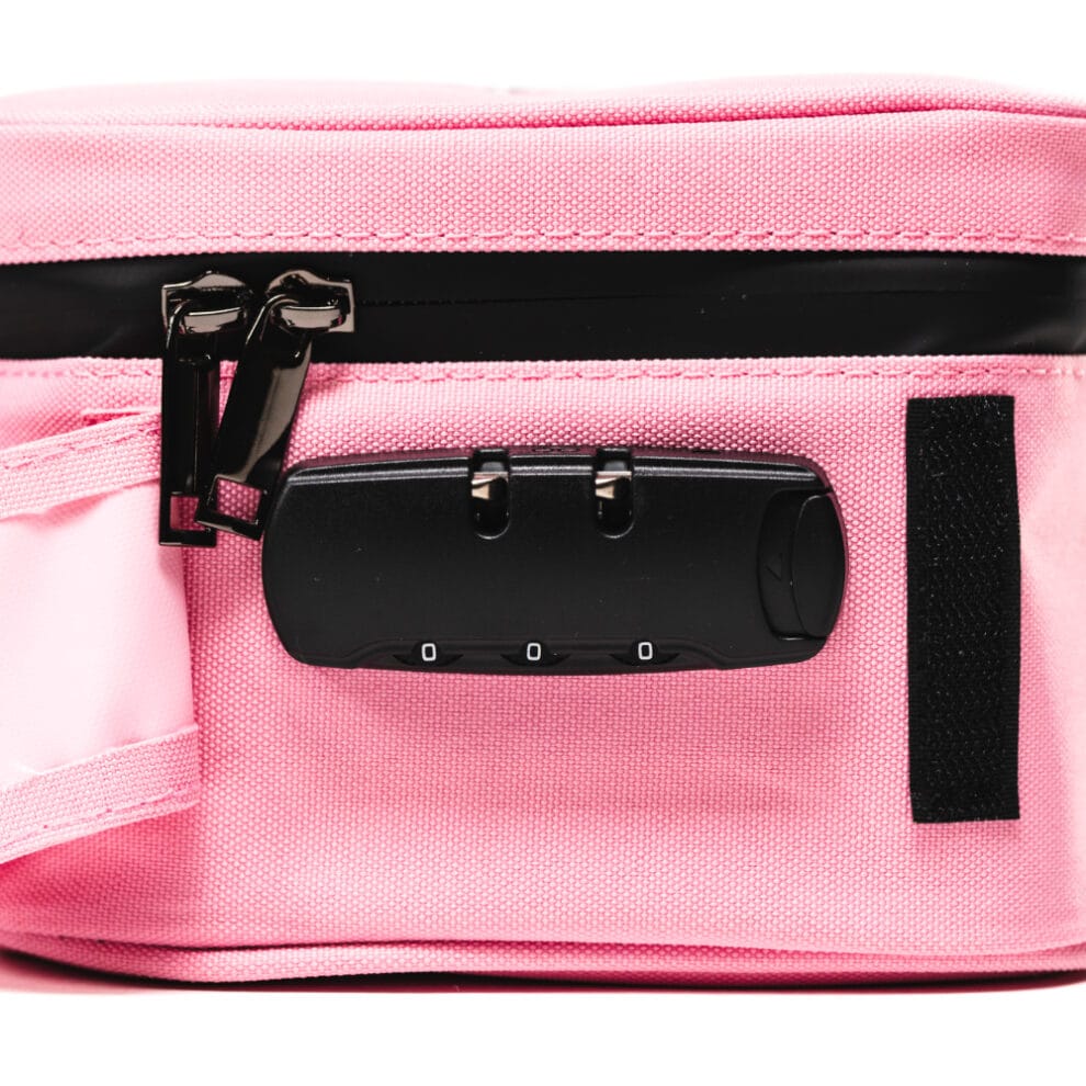 Blazy Susan Stash Bag