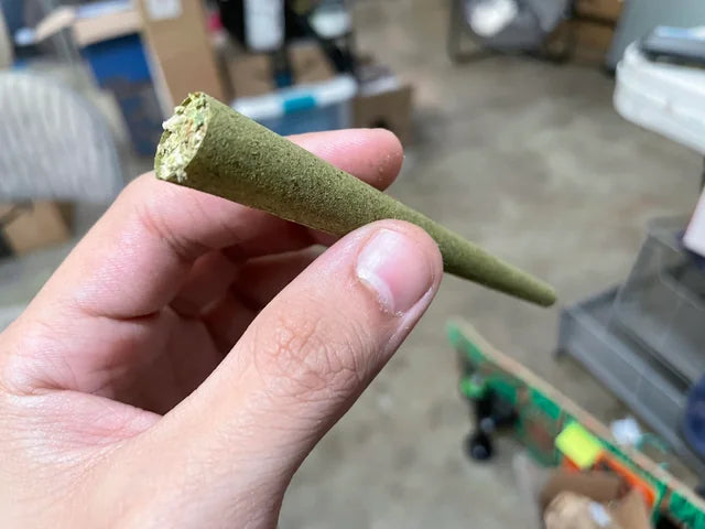 RAW Bud Wraps Pre-Rolled Cones (Tube of 2)