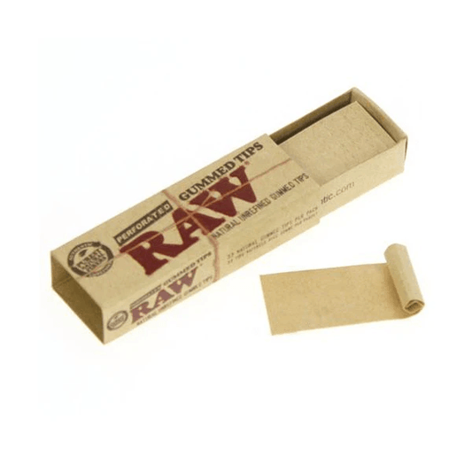 RAW PERFORATED GUMMED TIPS - munchterm